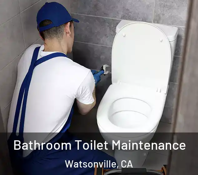  Bathroom Toilet Maintenance Watsonville, CA