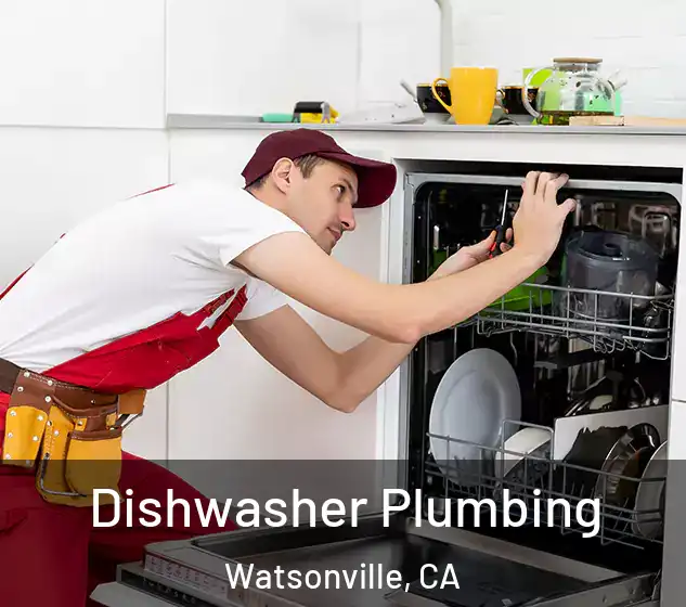  Dishwasher Plumbing Watsonville, CA