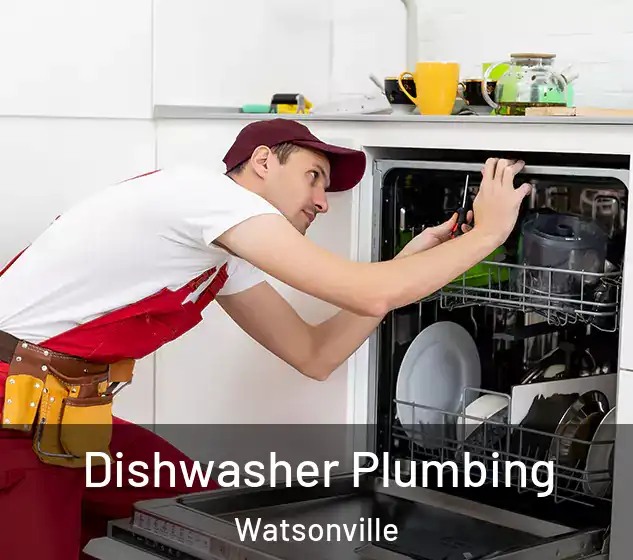  Dishwasher Plumbing Watsonville
