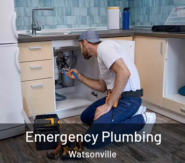  Emergency Plumbing Watsonville