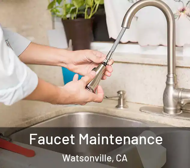  Faucet Maintenance Watsonville, CA