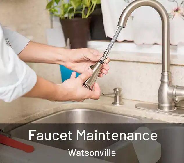  Faucet Maintenance Watsonville