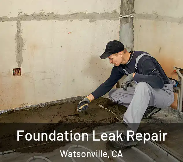  Foundation Leak Repair Watsonville, CA