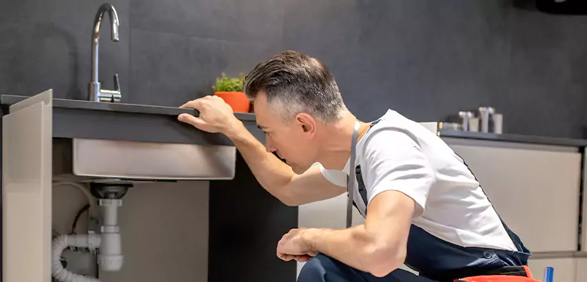 Scope of Bathroom Sink Repair Services in Watsonville, CA