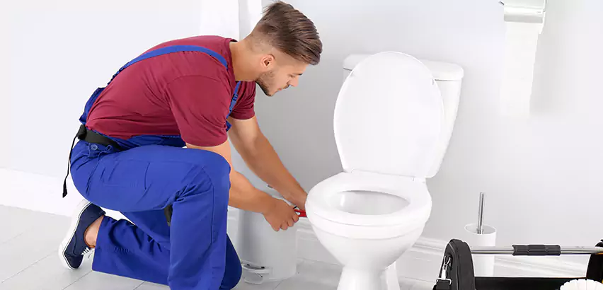 Scope of Bathroom Toilet Bowl Replacement Services in Watsonville, CA