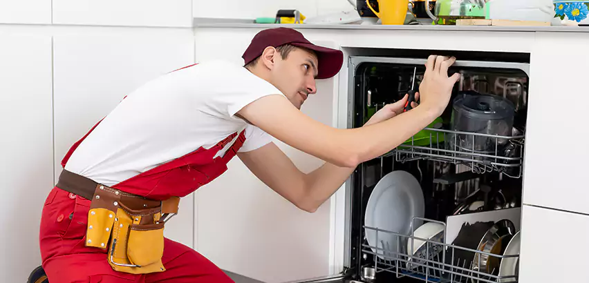 Scope of Kitchen Dishwasher Installation Services in Watsonville, CA
