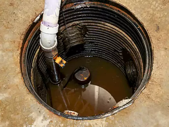 Why Watsonville Plumbing Pro is the First Choice for Sump Pump Maintenance Services in Watsonville, CA?