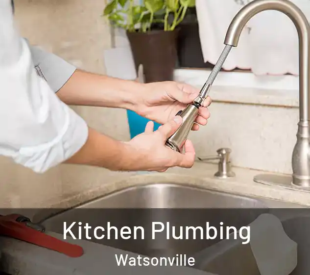  Kitchen Plumbing Watsonville