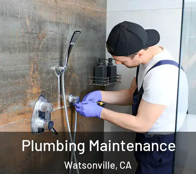  Plumbing Maintenance Watsonville, CA