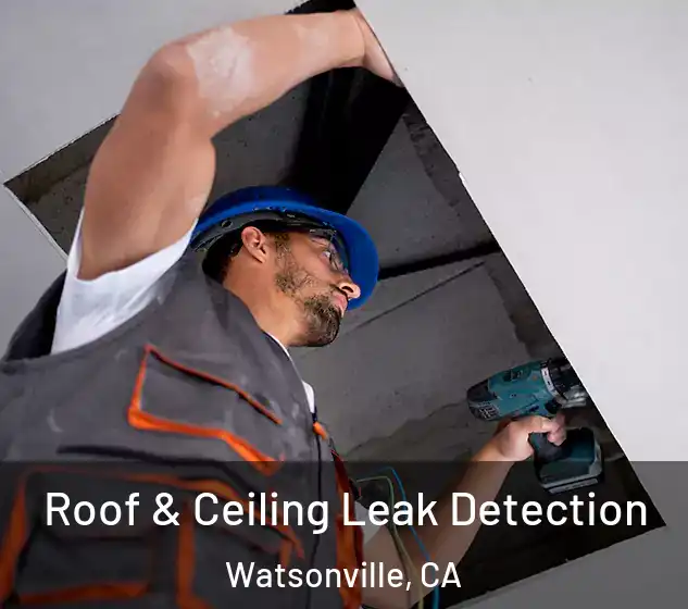 Roof & Ceiling Leak Detection Watsonville, CA