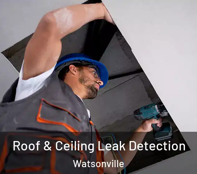 Roof & Ceiling Leak Detection Watsonville
