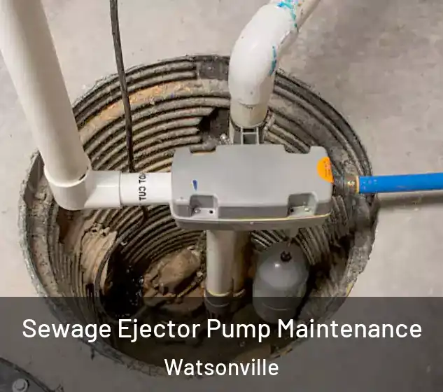  Sewage Ejector Pump Maintenance Watsonville