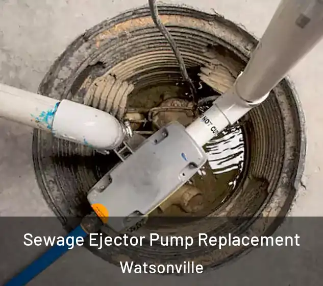  Sewage Ejector Pump Replacement Watsonville