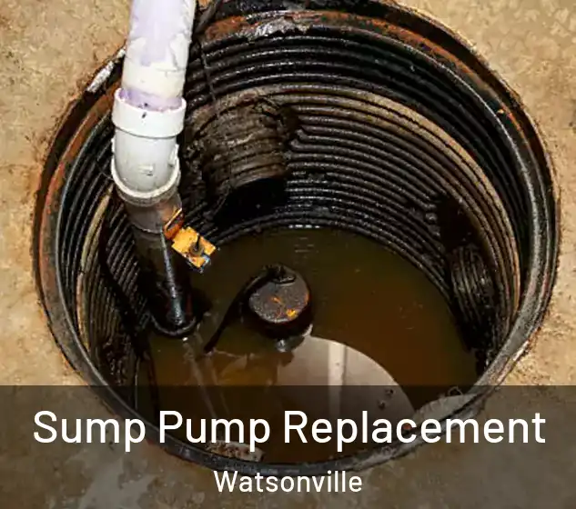  Sump Pump Replacement Watsonville