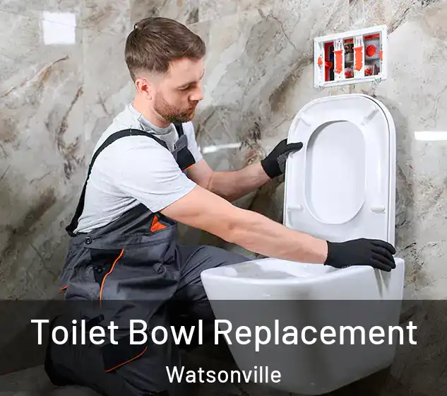  Toilet Bowl Replacement Watsonville