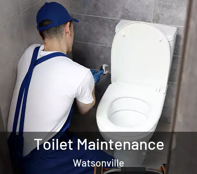  Toilet Maintenance Watsonville