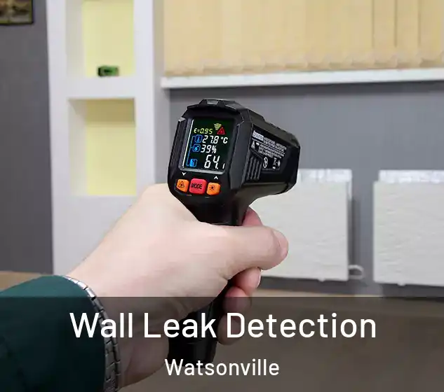  Wall Leak Detection Watsonville