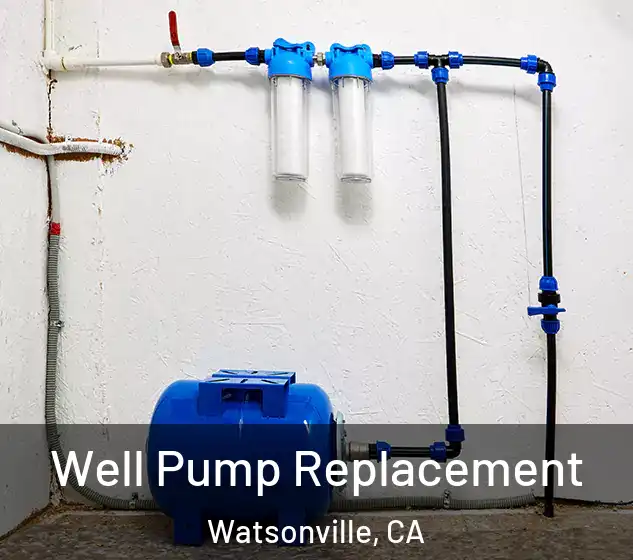  Well Pump Replacement Watsonville, CA