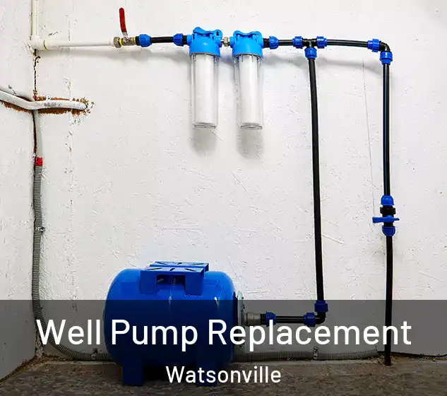 Well Pump Replacement Watsonville